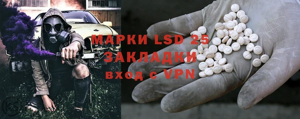 мяу мяу мука Аркадак