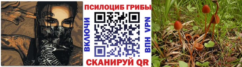Галлюциногенные грибы прущие грибы  купить наркотики цена  Хвалынск 