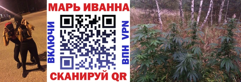 где купить   Хвалынск  Конопля гибрид 